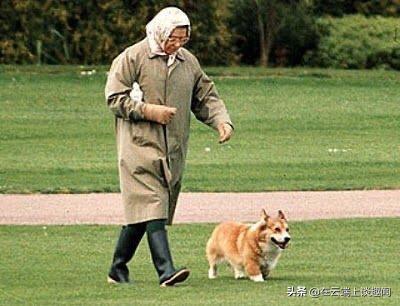 狗子带主人吃瓜,欢乐日常温馨呈现