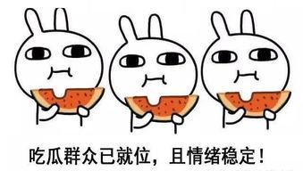 大熊骂人酒神吃瓜,吃瓜群众围观一幕