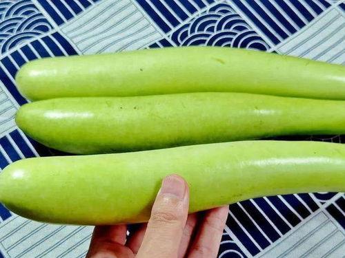 九月的吃瓜,瓜香四溢，盘点那些让人“吃瓜”的精彩瞬间