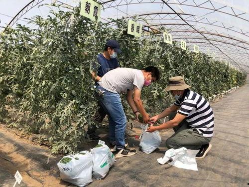 小伙在高速上吃瓜,小伙边驾车边吃瓜，引发网友热议