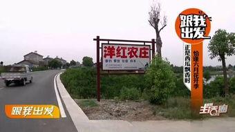 宜昌最新吃瓜,揭秘这座山水之城的热辣美食风云