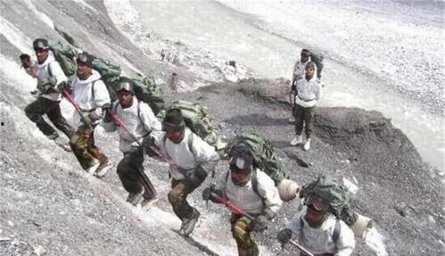 临江吃瓜前线,揭秘热点事件背后的真相